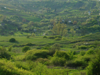 Egerbakta Shagnum moor-lakes