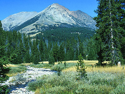 Electric Peak