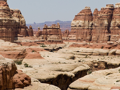 Elephant Canyon - Druid Arch Trail