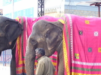 Tirupati