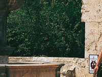El Real Gardens