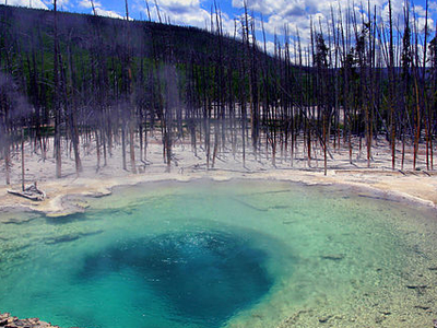 Emerald Spring