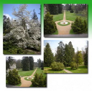 English Park and Botanical Garden