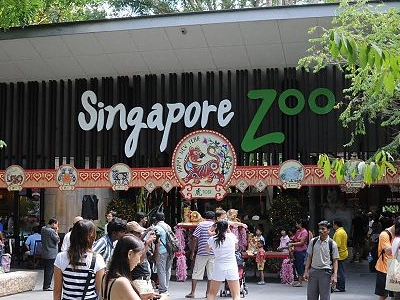 Singapore Zoo