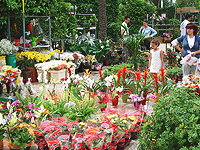 Ethnobotanical and Botanical Garden Museum