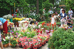 Ethnobotanical and Botanical Garden Museum