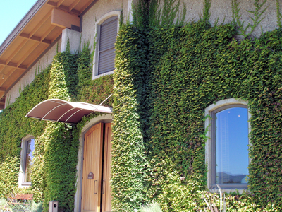 Clos Du Val Winery