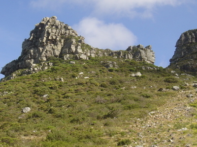 Cecilia Park