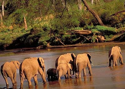 Selous Game Reserve