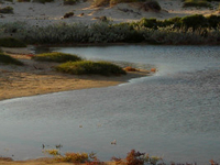 Cape Range National Park Cape Range National Park