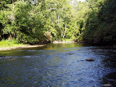 Fall Creek