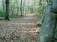 F. Gilbert Hills State Forest
