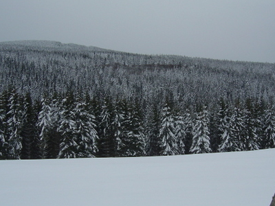 Mont Mouchet