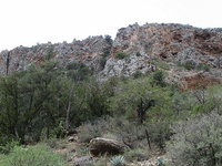 Fossil Springs Trail