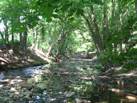 Frankford Creek