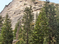 Fresno Dome
