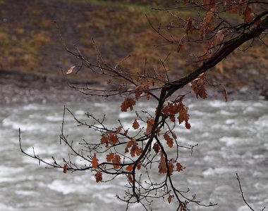 Frutz River Frutz River