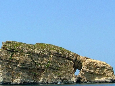 Fungus Rock