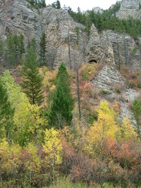 Fall Leaves Big Belt Mountains Fall Leaves Big Belt Mountains