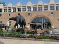 Fernbank Museum Of Natural History Fernbank Museum Of Natural History