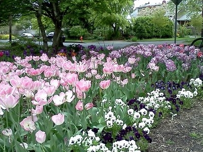 Sellwood Park