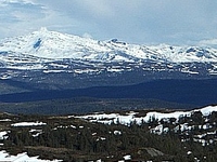 Fongen Fongen
