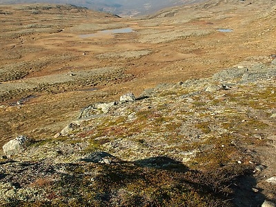 Forollhogna National Park