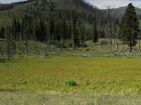 Garnet Hill Loop Trail