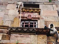 Gauri Somnath Temple