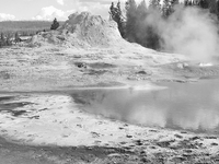 Dilemma Geyser