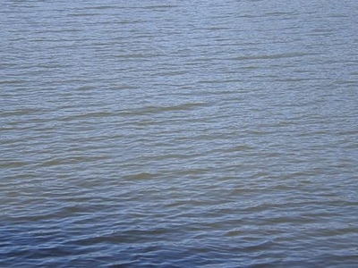 Oldman Lake