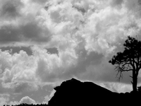 Douglas Knob