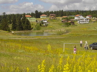 Gerede Gerede
