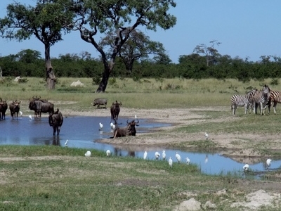 Chobe National Park