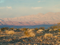 Grapevine Mountains