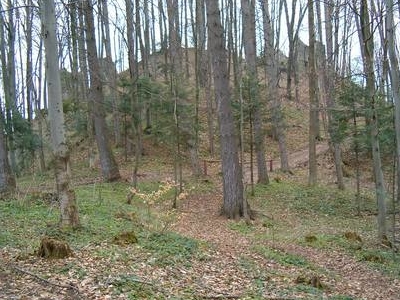 Góra Sobień Nature Reserve Góra Sobień Nature Reserve