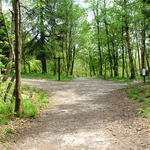 Grass Wood Grass Wood
