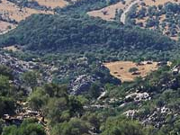 Grazalema Grazalema