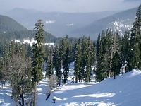 Gulmarg Ski Resort