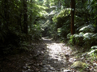 Guadeloupe National Park Guadeloupe National Park