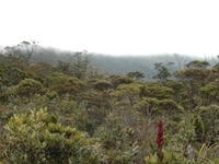 Mount Murud
