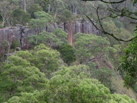 Guy Fawkes River National Park Guy Fawkes River National Park