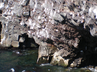 Hafnaberg Sea Cliffs Hafnaberg Sea Cliffs