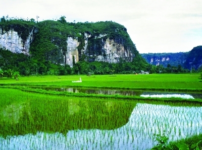 Harau Valley Harau Valley