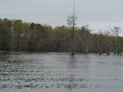 Harwoods Mill Reservoir