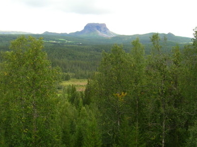 Hattfjelldal
