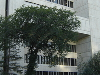 University of Saskatchewan