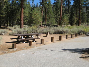 Horse Springs Campground United States Tourist Information