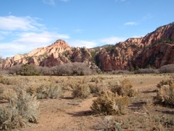 Hop Valley Trailhead - Open Expanse Hop Valley Trailhead - Open Expanse