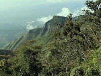 Horton Plains National Park
